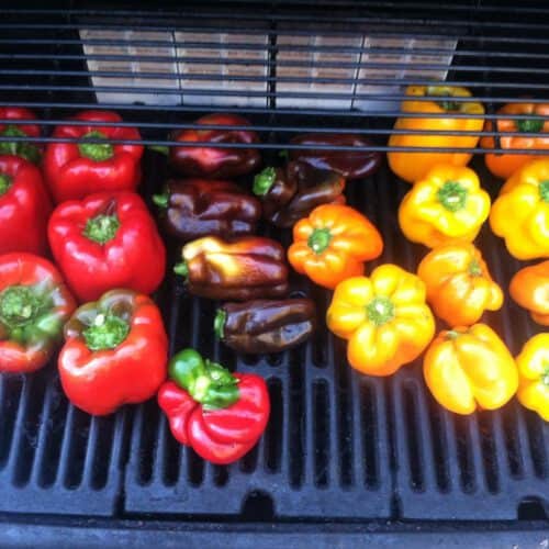 ingredients roasted bell pepper