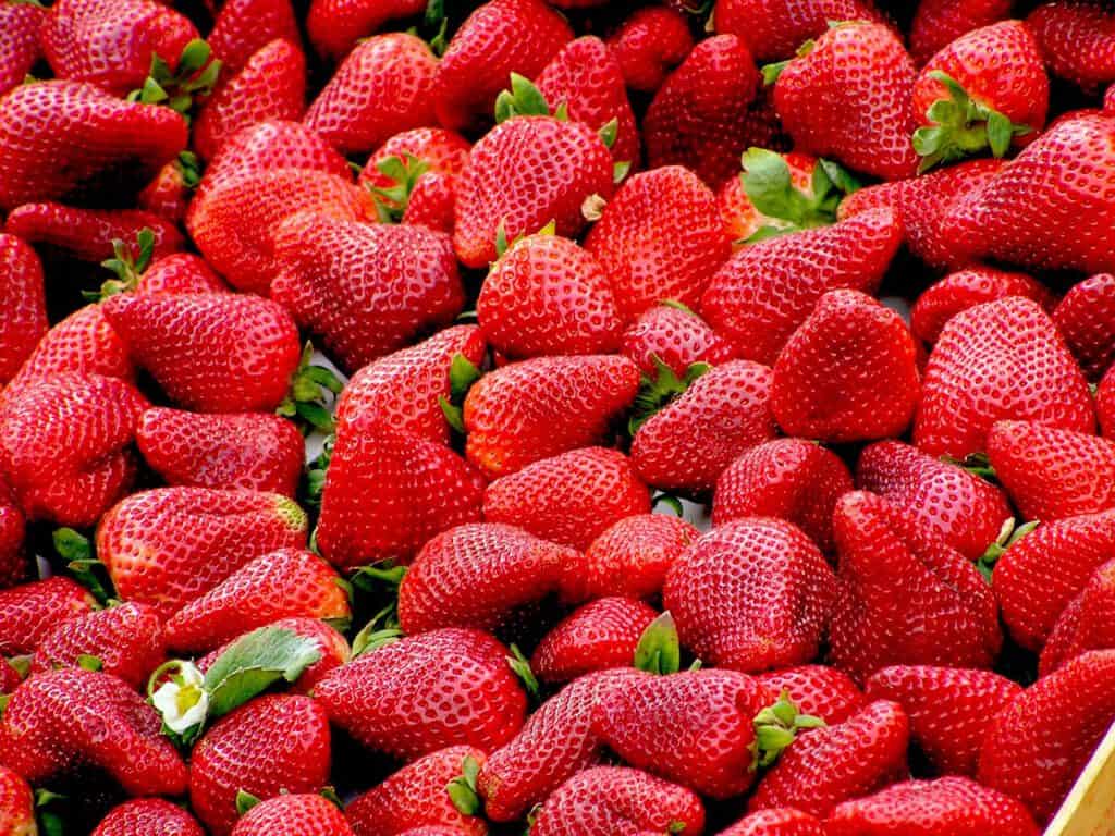 strawberry mousse ingredients