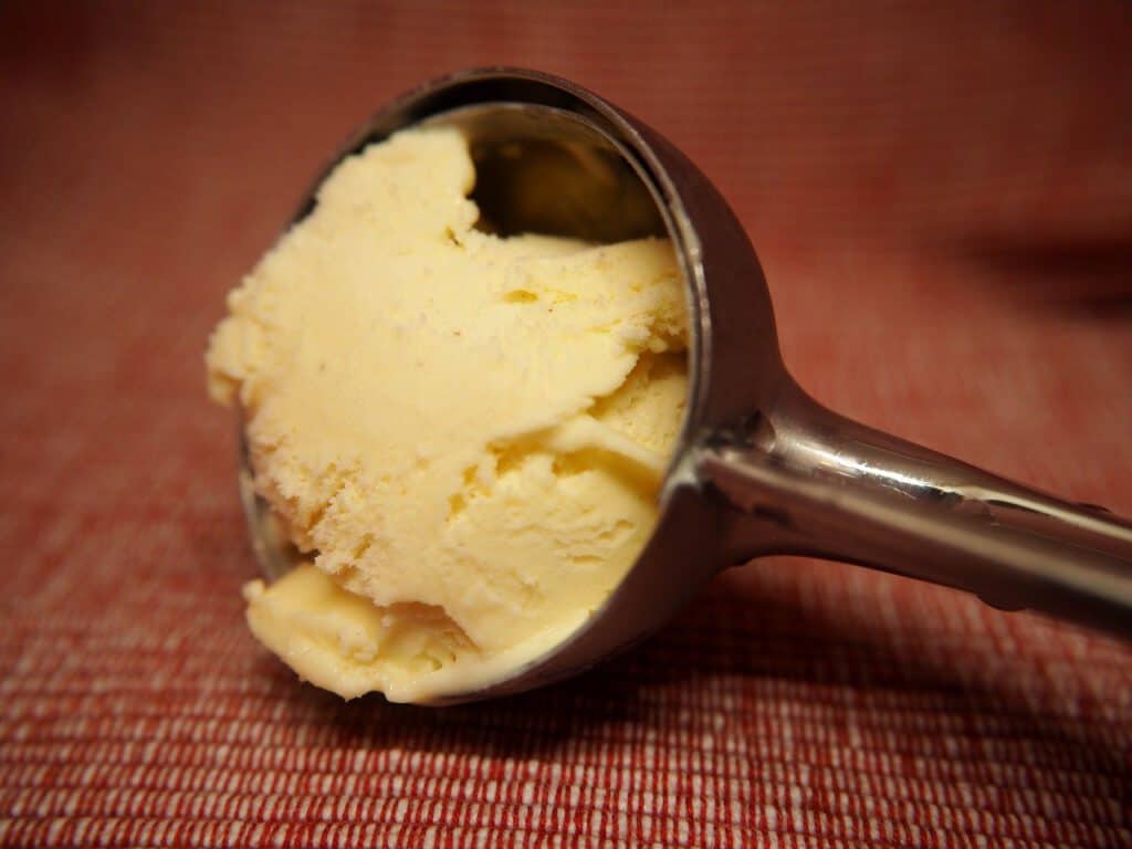 vanilla bean ice cream ingredients